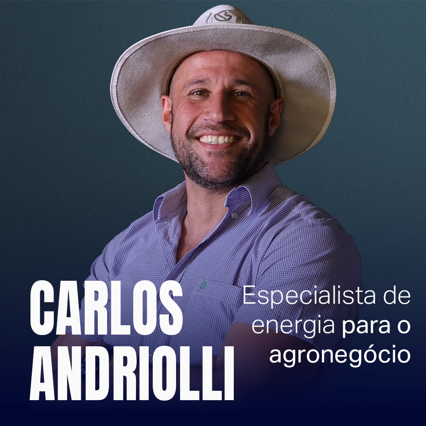 Rei do agro copiar