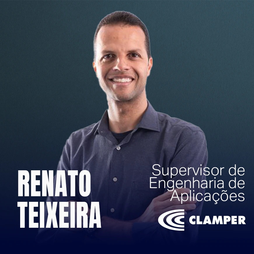 Renato Teixeira copiar